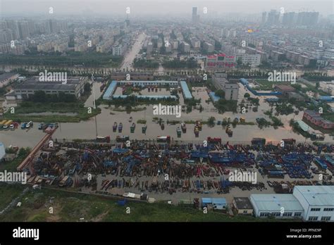  Dongying Şehri'nin Biberli Mücadelesi: Acılı ve Doyurucu Bir Yolculuk!