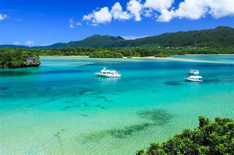 石垣島 ディナー - 海風が運ぶ味覚の冒険